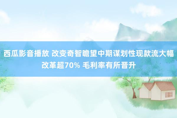 西瓜影音播放 改变奇智瞻望中期谋划性现款流大幅改革超70% 毛利率有所晋升