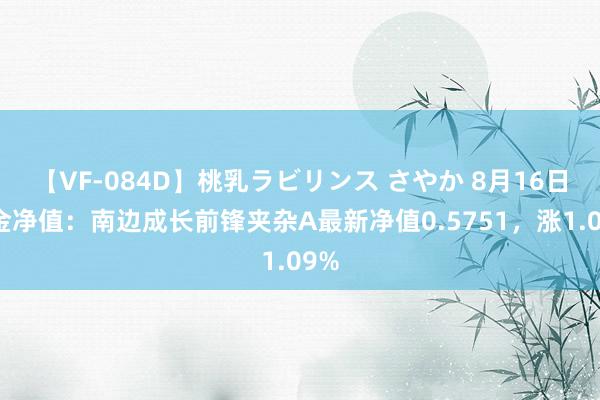 【VF-084D】桃乳ラビリンス さやか 8月16日基金净值：南边成长前锋夹杂A最新净值0.5751，涨1.09%