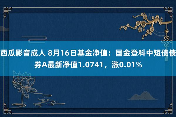 西瓜影音成人 8月16日基金净值：国金登科中短债债券A最新净值1.0741，涨0.01%