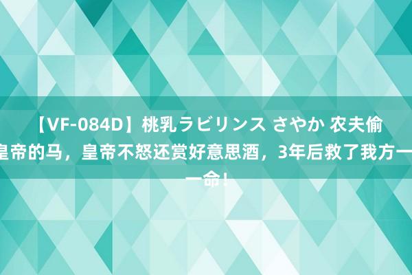 【VF-084D】桃乳ラビリンス さやか 农夫偷吃皇帝的马，皇帝不怒还赏好意思酒，3年后救了我方一命！