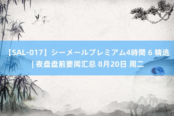 【SAL-017】シーメールプレミアム4時間 6 精选 | 夜盘盘前要闻汇总 8月20日 周二