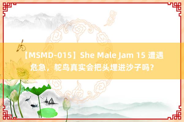 【MSMD-015】She Male Jam 15 遭遇危急，鸵鸟真实会把头埋进沙子吗？