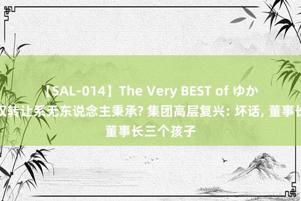 【SAL-014】The Very BEST of ゆか 老君山股权转让系无东说念主秉承? 集团高层复兴: 坏话， 董事长三个孩子