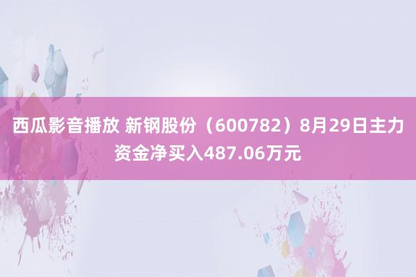 西瓜影音播放 新钢股份（600782）8月29日主力资金净买入487.06万元