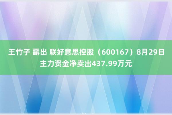 王竹子 露出 联好意思控股（600167）8月29日主力资金净卖出437.99万元