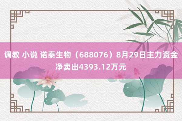 调教 小说 诺泰生物（688076）8月29日主力资金净卖出4393.12万元