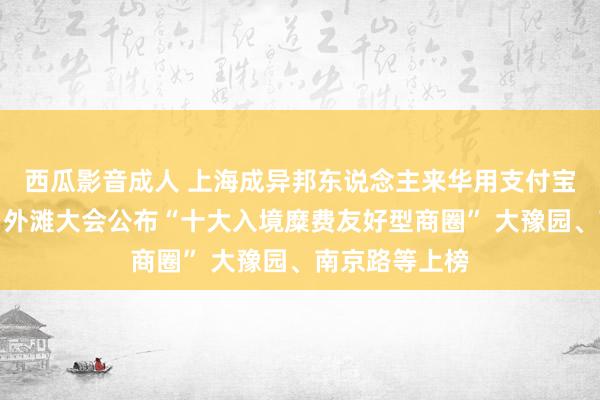 西瓜影音成人 上海成异邦东说念主来华用支付宝最多的城市！外滩大会公布“十大入境糜费友好型商圈” 大豫园、南京路等上榜