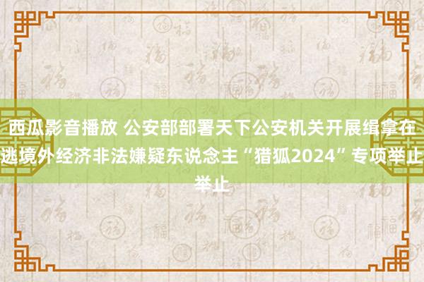 西瓜影音播放 公安部部署天下公安机关开展缉拿在逃境外经济非法嫌疑东说念主“猎狐2024”专项举止