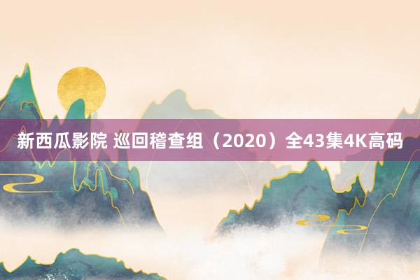 新西瓜影院 巡回稽查组（2020）全43集4K高码