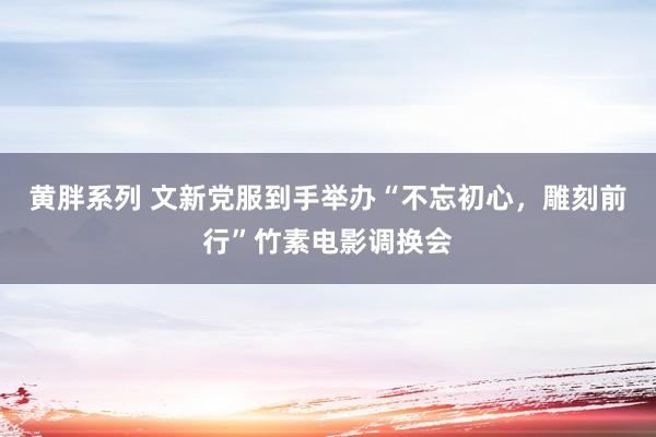 黄胖系列 文新党服到手举办“不忘初心，雕刻前行”竹素电影调换会